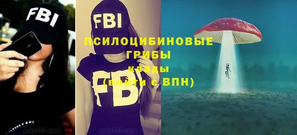 дживик Абаза