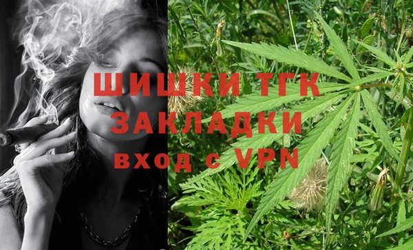 амф Мегион