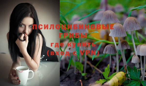 винт Абинск
