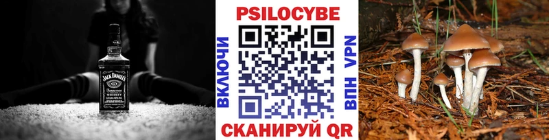 Псилоцибиновые грибы Psilocybine cubensis  Туапсе 